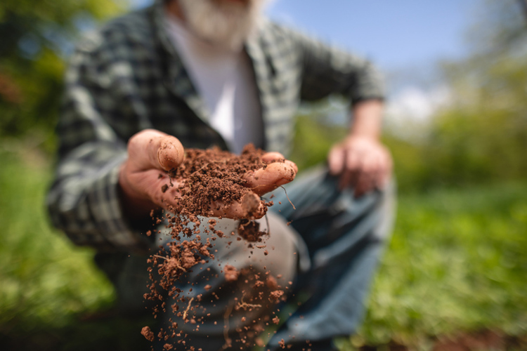 man with soil in his hand