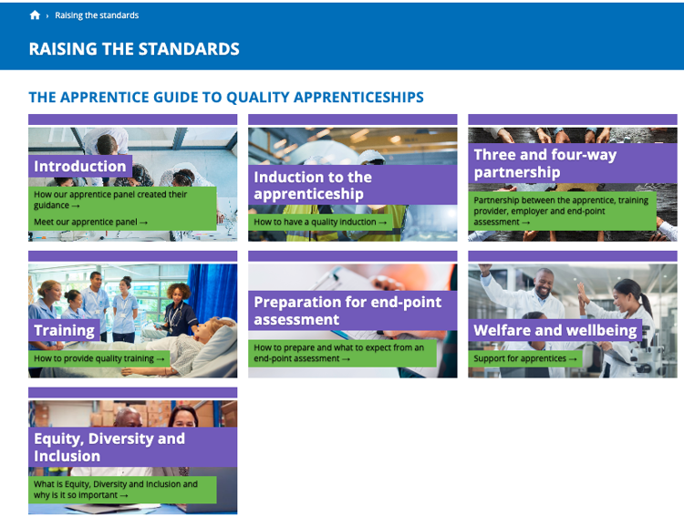 The Raising the Standards menu page on the IfATE website. 7 boxes link to information on how our apprentice panel created the guidance, introduction to apprenticeships, three and four way partnerships, training, preparation for end point assessments, welfare and wellbeing and Equity, diversity and inclusion